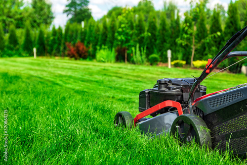 Fotografie Lawn mower cutting green grass in backyard, green thuja trees on background