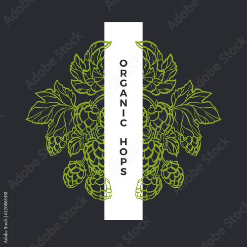 Hop engraving. Vector nature fresh pattern.