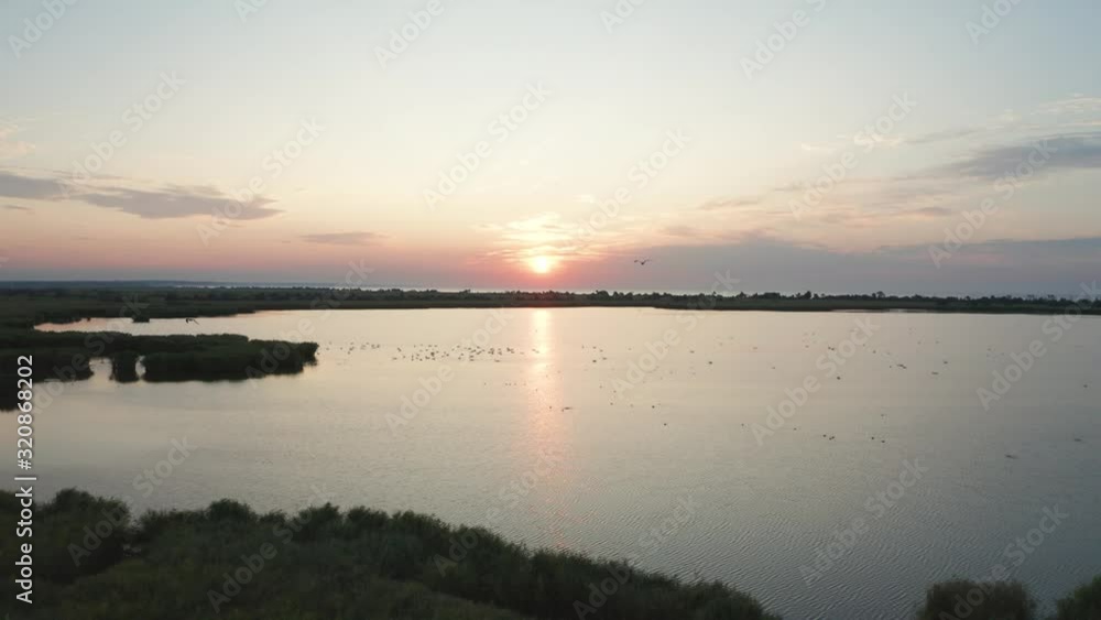 Aerial shot of wide floodplain overgrown with lush vegetation and populated with waterfowls on background of setting sun. Drone footage of picturesque coastal landscape in nature reserve at dusk Aerial shot of wide floodplain overgrown with lush vegetation and populated with waterfowls on background of setting sun. Drone footage of picturesque coastal landscape in nature reserve at dusk