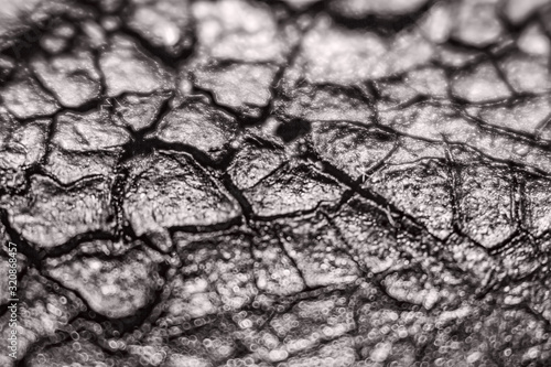 Cracked soil. Shallow depth of field. Abstract background.