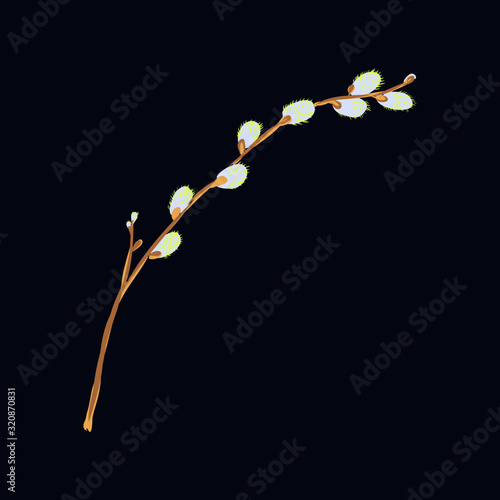 willow branch for Easter, vector illustration