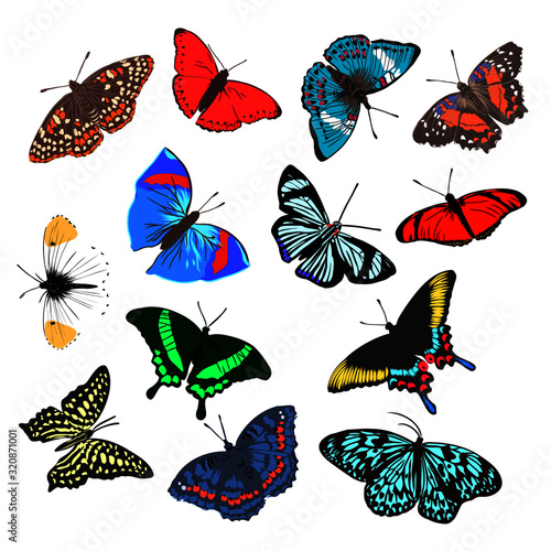 bright beautiful realistic butterfly  vector illustration