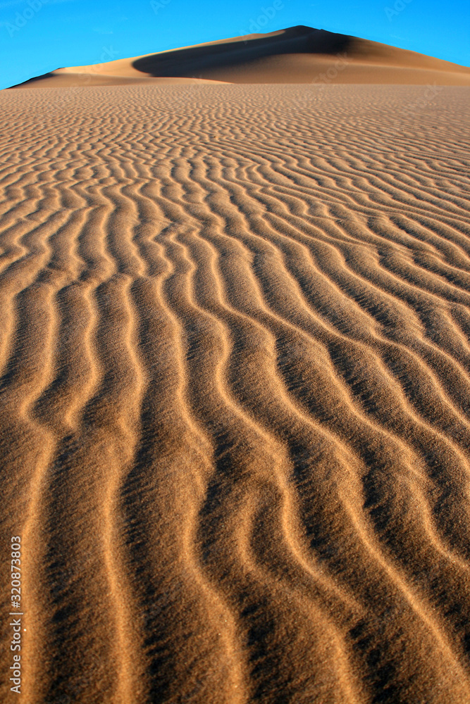 Fototapeta premium crested dune