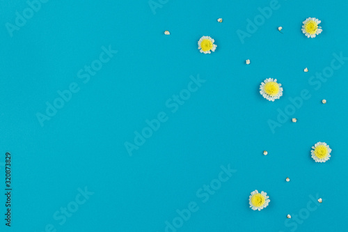 White chamomile with a flower and petals.