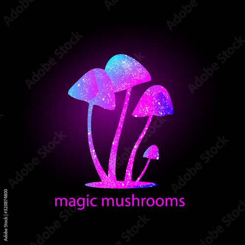mushrooms silhouette with universe inside