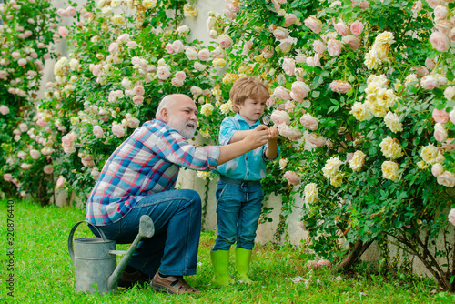 Grandfather and grandchild enjoying in the garden with roses flowers. Cute little boy watering flowers in the summer garden.