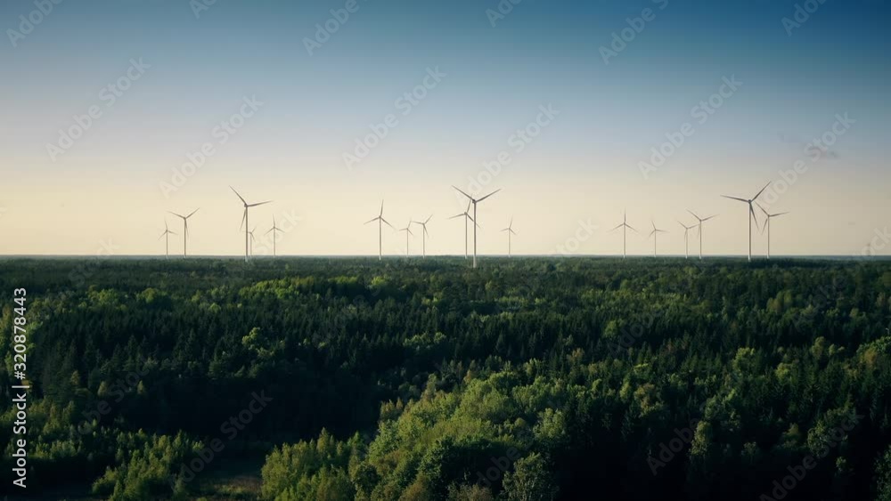 Peaceful summer scene in the woodlands of Sweden. Forest clearing with surrounding trees and bright blue sky. Peaceful summer scene in the woodlands of Sweden. Forest clearing with surrounding trees and bright blue sky.