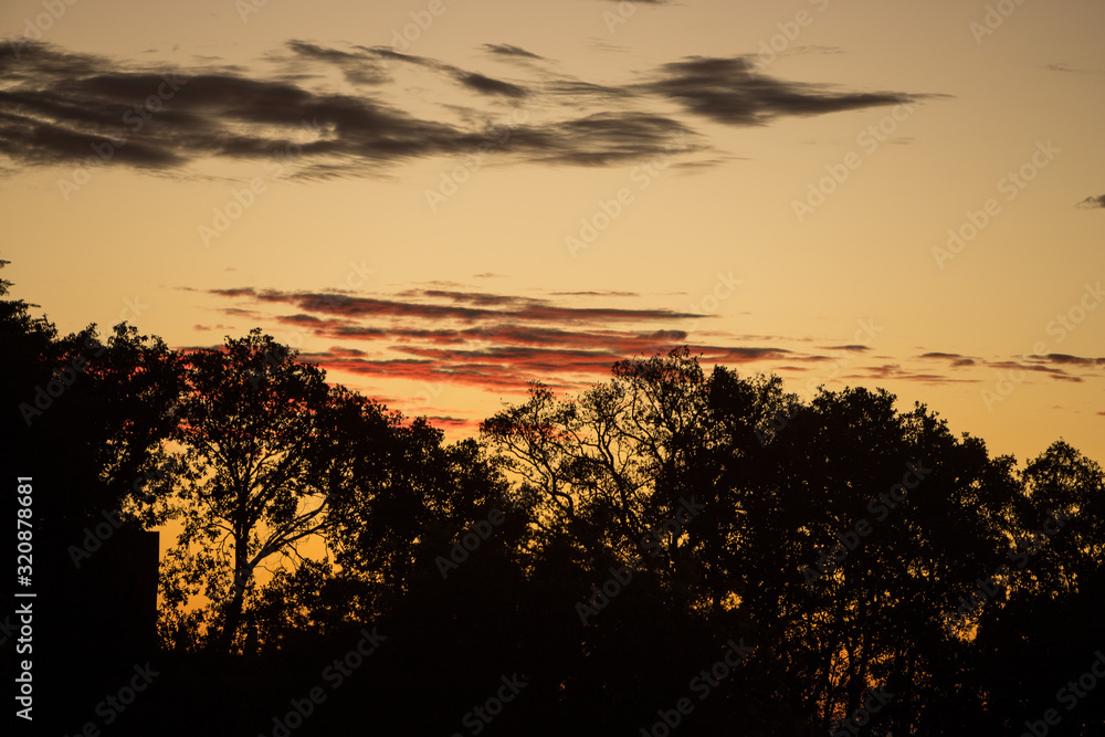 Obraz premium Amanecer 