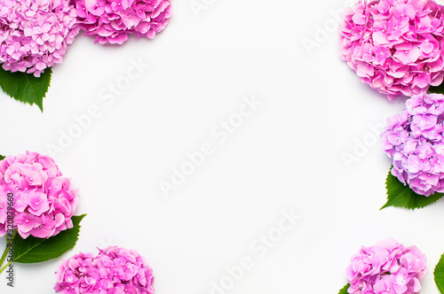 Frame from Beautiful pink hydrangea flowers on white background top view flat lay copy space. Flower card. Holiday  congratulations  happy mothers day. International Women s day  March 8. Spring