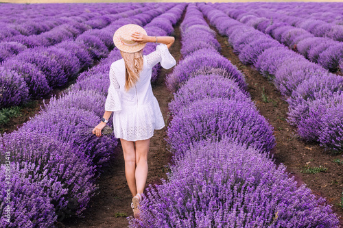Woman on the lavender field. Woman in white dress and   hat  back view. Goes on lavender rows. girl in white dress and white hat is standing in the lavender field. Soft focus
