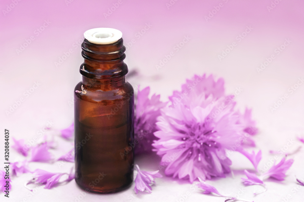 Essential oil bottles on medicinal pink cornflowers flowers and herbs background, selective focus, toned Essential oil bottles on medicinal pink cornflowers flowers and herbs background, selective focus, toned