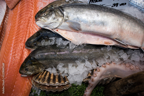 Fresh fish on ice. Sale of fresh frozen fish on farmer's bazaar. Open showcases of seafood market. Fish store photo