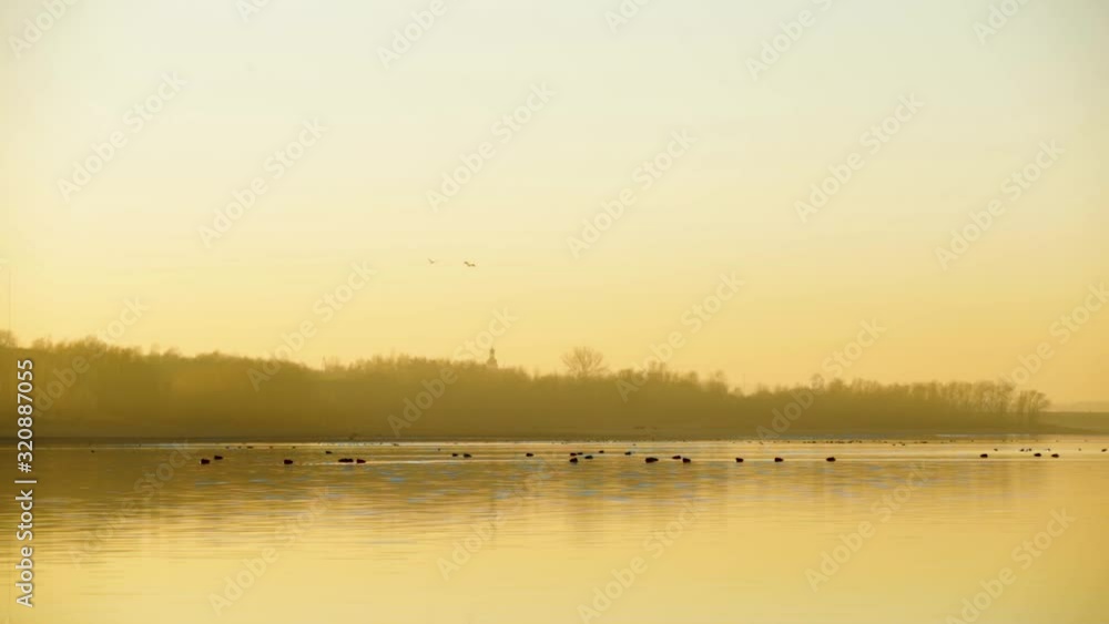 Birds flying above a tranquil lake during a yellow foggy sunset Birds flying above a tranquil lake during a yellow foggy sunset