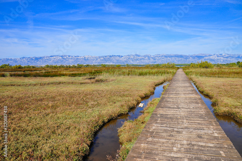 Fototapeta Naklejka Na Ścianę i Meble -  Eco Park of the Nin Lagoon. Nin’ s lagoon. Endemic, endangered species. Wooden trails and bridges. Muddy and sandy shore, marshes and wetlands. Home of great number of bird species. Scenery of Velebit