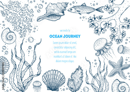 Underwater world hand drawn collection. Sketch illustration. Seaweed, coral, seashells, starfish, jellyfish, fish illustration. Vintage design template. Undersea world collection. © DiViArts