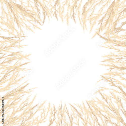 Silver golden Pampas grass Card template Border frame. Place for text, copy space. Vector illustration.