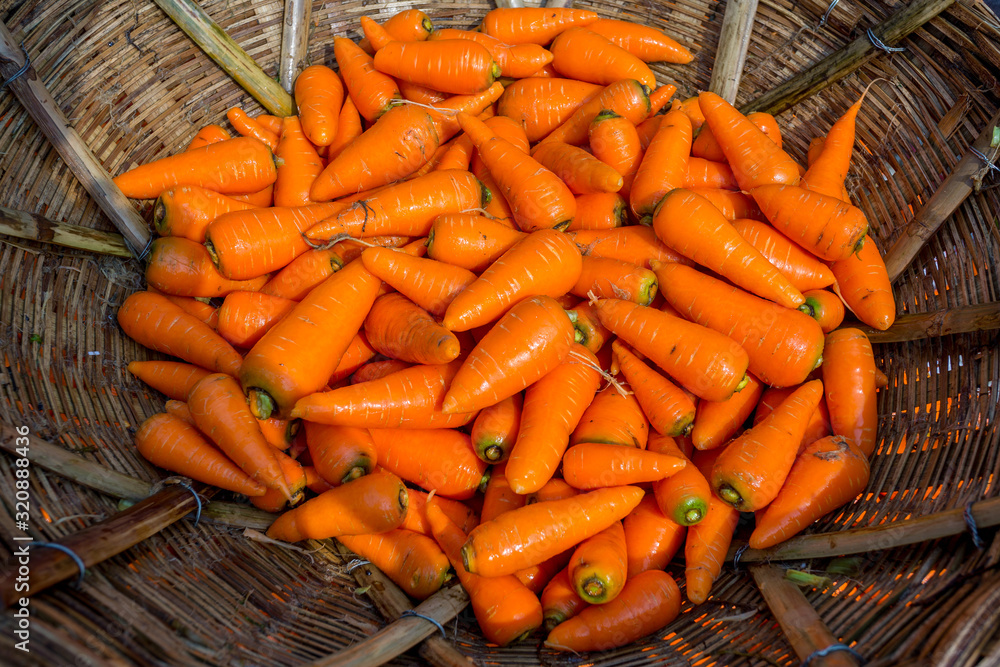 Fresh and washed organic harvested carrots in bamboo bucket. Food background. Near Savar District at Dhaka, Bangladesh. Fresh and washed organic harvested carrots in bamboo bucket. Food background. Near Savar District at Dhaka, Bangladesh.