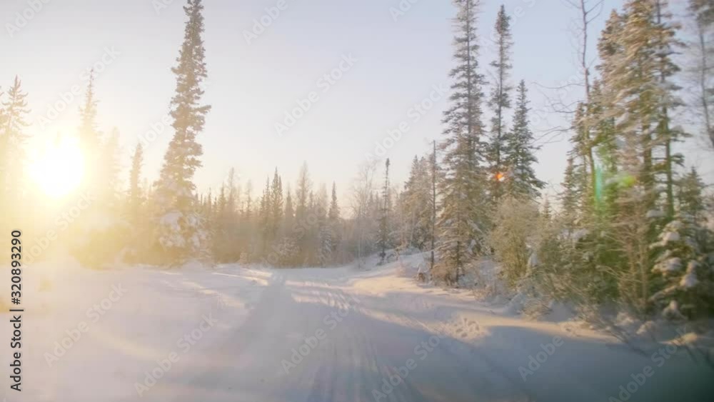 Driving car on snow through remote pine forest at sunrise, yellowknife Driving car on snow through remote pine forest at sunrise, yellowknife