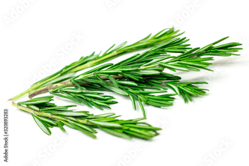 Isolated fresh green rosemary leaves, twigs and branches on white background.