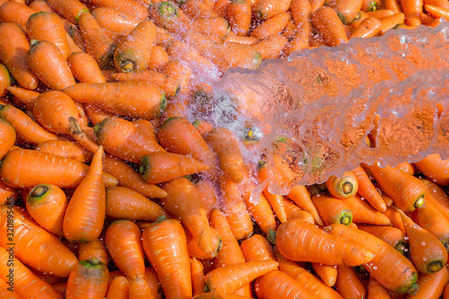 Un-washed and dirty carrot washing on throw pipe water. Food background. Near Savar District at Dhaka, Bangladesh. photo