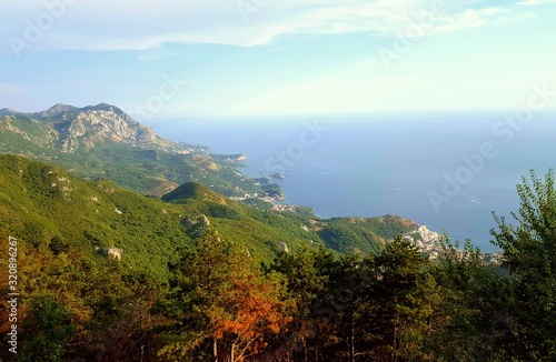 landscape with mountains and trees sea