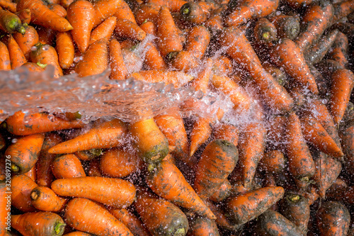 Un-washed and dirty carrot washing on throw pipe water. Food background. Near Savar District at Dhaka, Bangladesh. photo