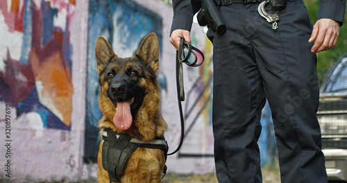 Tableau sur toile Policeman holding dog on leash at the police car outdoor