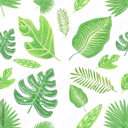 Seamless pattern of green watercolor pencils hand drawn tropic leaves on white background © Nataliya Pokrovska