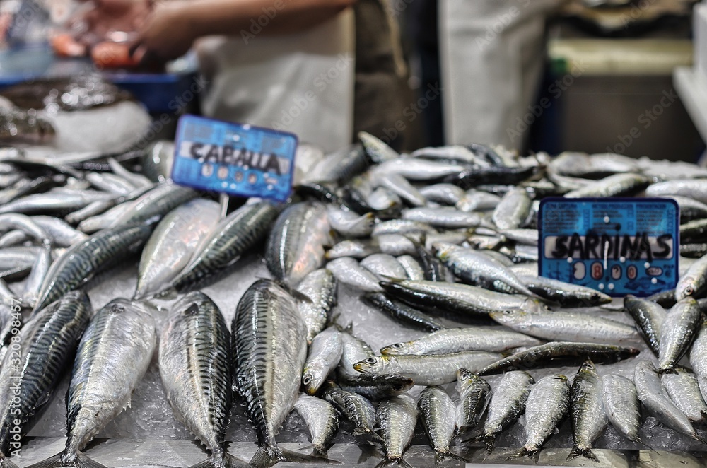 Fish for sale in the Central Market of Valencia, Spain Fish for sale in the Central Market of Valencia, Spain