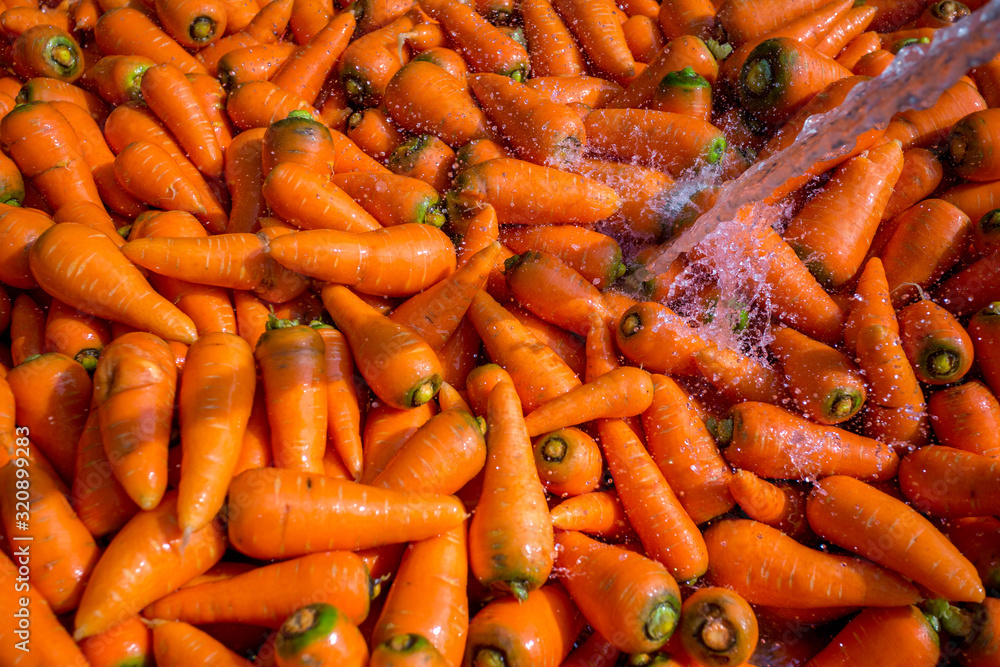 Un-washed and dirty carrot washing on throw pipe water. Food background. Near Savar District at Dhaka, Bangladesh. Un-washed and dirty carrot washing on throw pipe water. Food background. Near Savar District at Dhaka, Bangladesh.