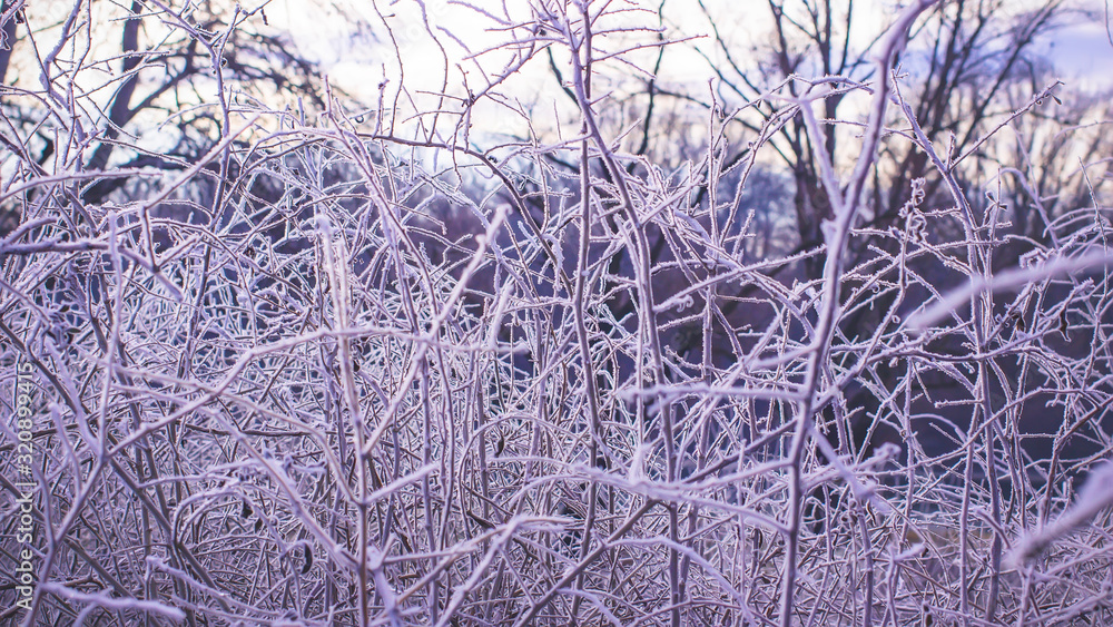 frozen crystals of ice on the grass.