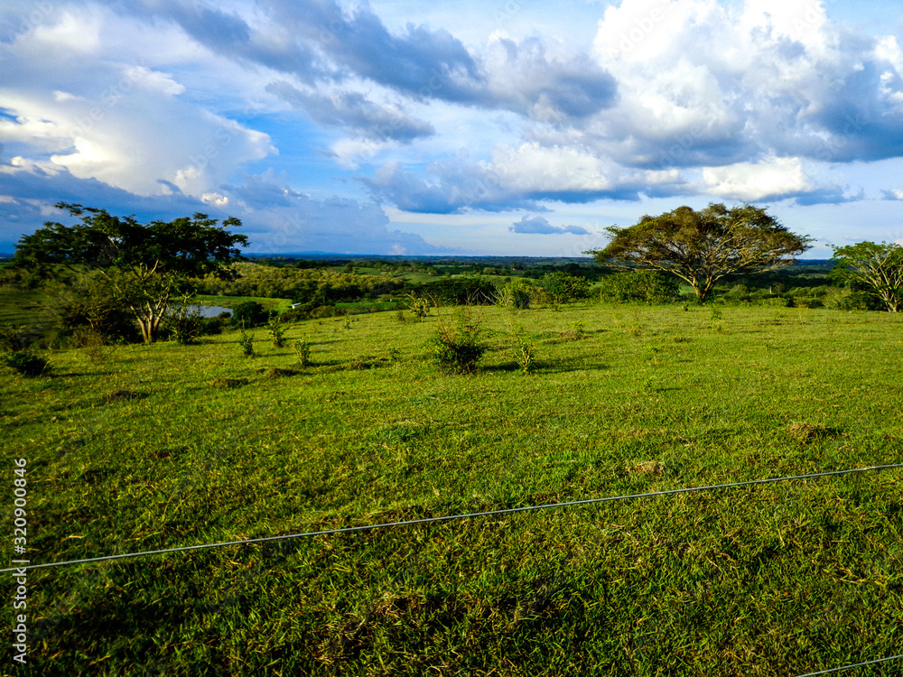 Fototapeta premium sabana