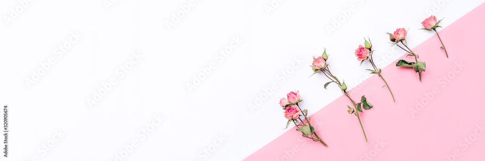 Frame of dried rose flowers on white and pink background. Frame of dried rose flowers on white and pink background.