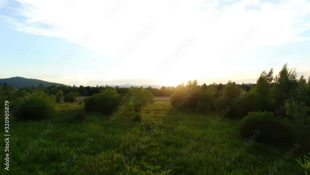 Drone Slowly Flying Through Field Towards Sunset Drone Slowly Flying Through Field Towards Sunset