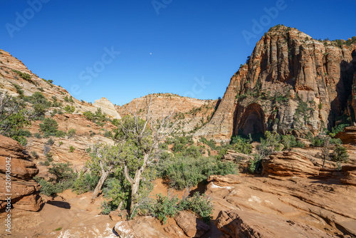 hiking the canyon overlook trail in zion national park, utah, usa