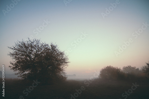 fog on landscape