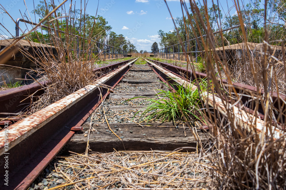 Fototapeta premium Grass growing through old train tracks