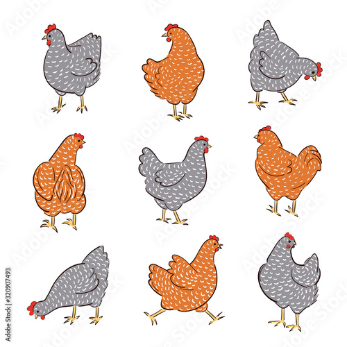Set of hand drawn speckled hens. Chicken food vector illustration.