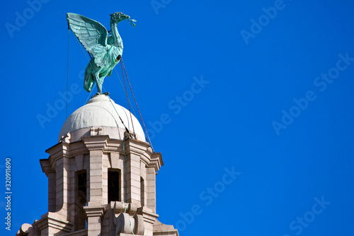 Liver Bird Perched on the Royal Liver Building photo