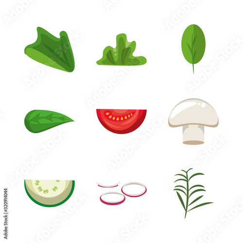 bundle of nutritive healthy food