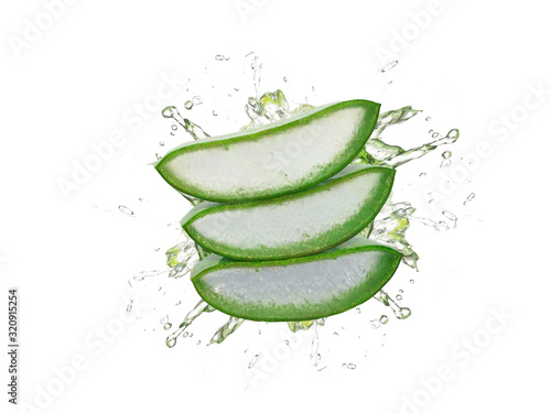 Fesh aloe vera slice isolated on white background.aloe vera with water splashing.nature gives freshness