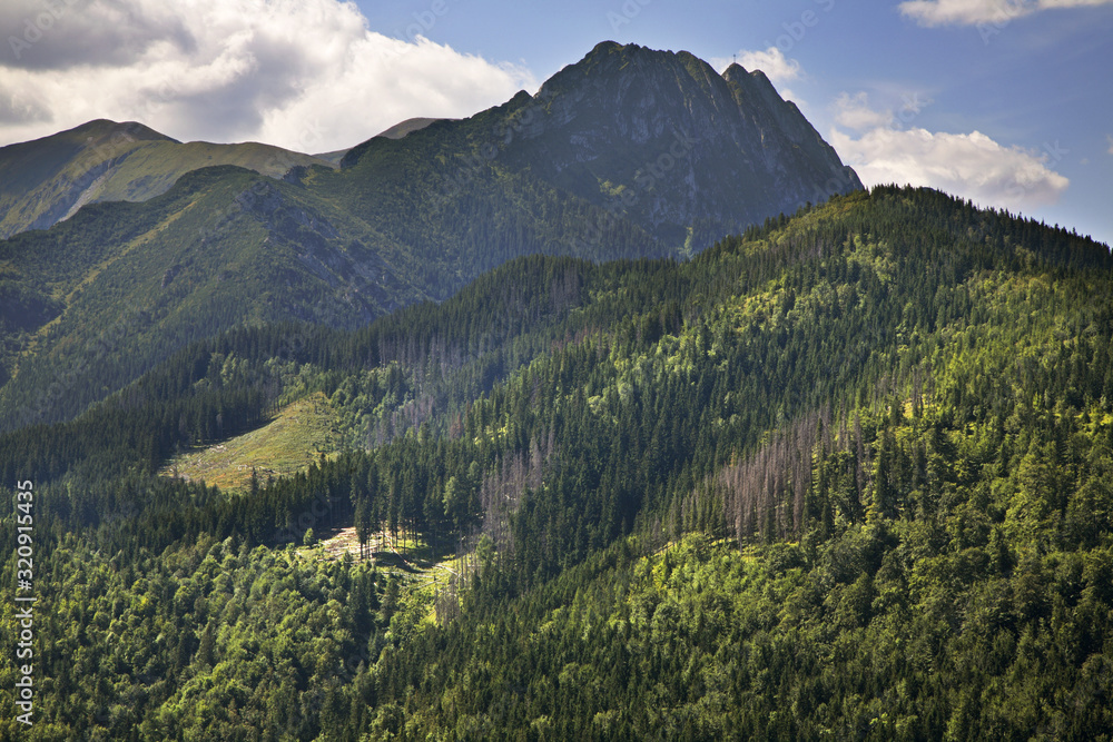 Obraz premium View of High Tatras mountains near Zakopane. Poland