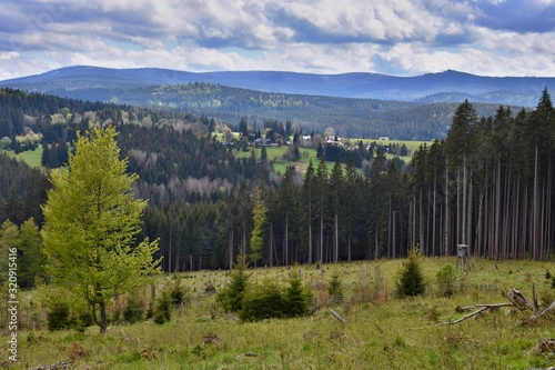 View on the mountains - Sumava national park - Czech republic