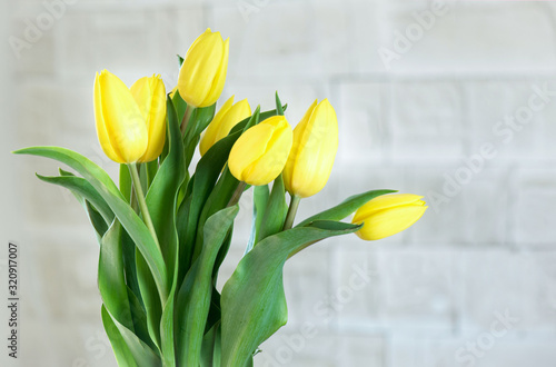 Bouquet of yellow tulips in natural light. Spring flowers