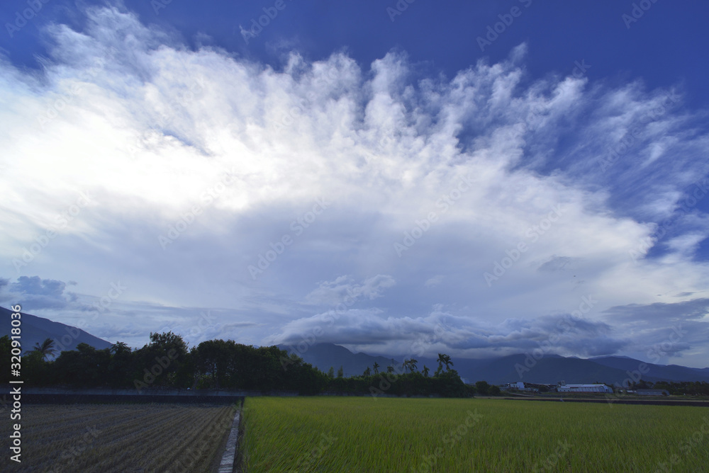 Scenic shot of the blue sky with white cloud and green farm