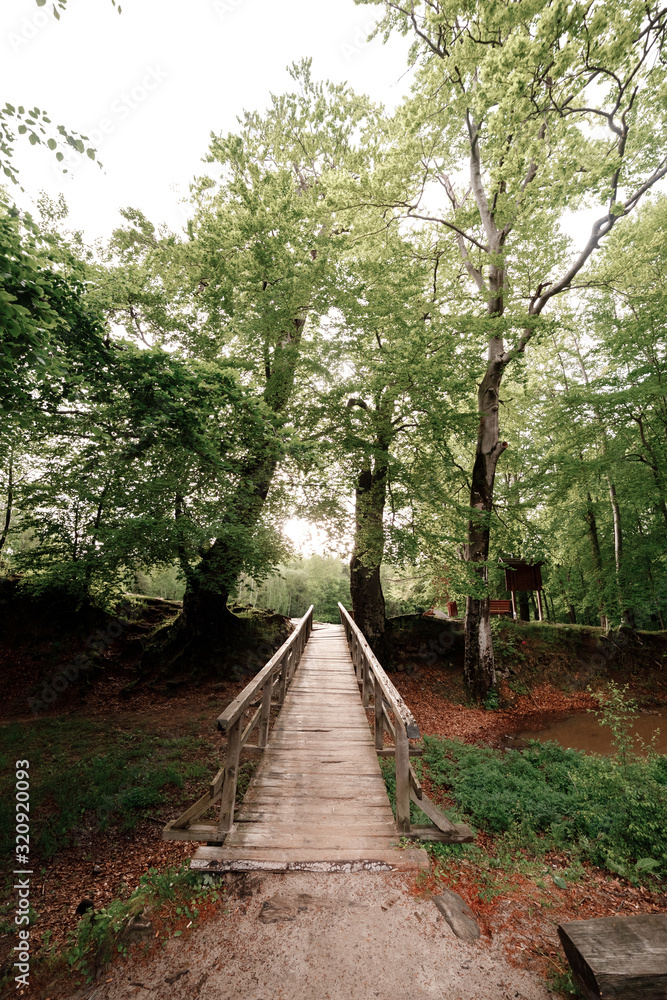 rustic wooden bridge in the green forest in the Carpathian mountains rustic wooden bridge in the green forest in the Carpathian mountains