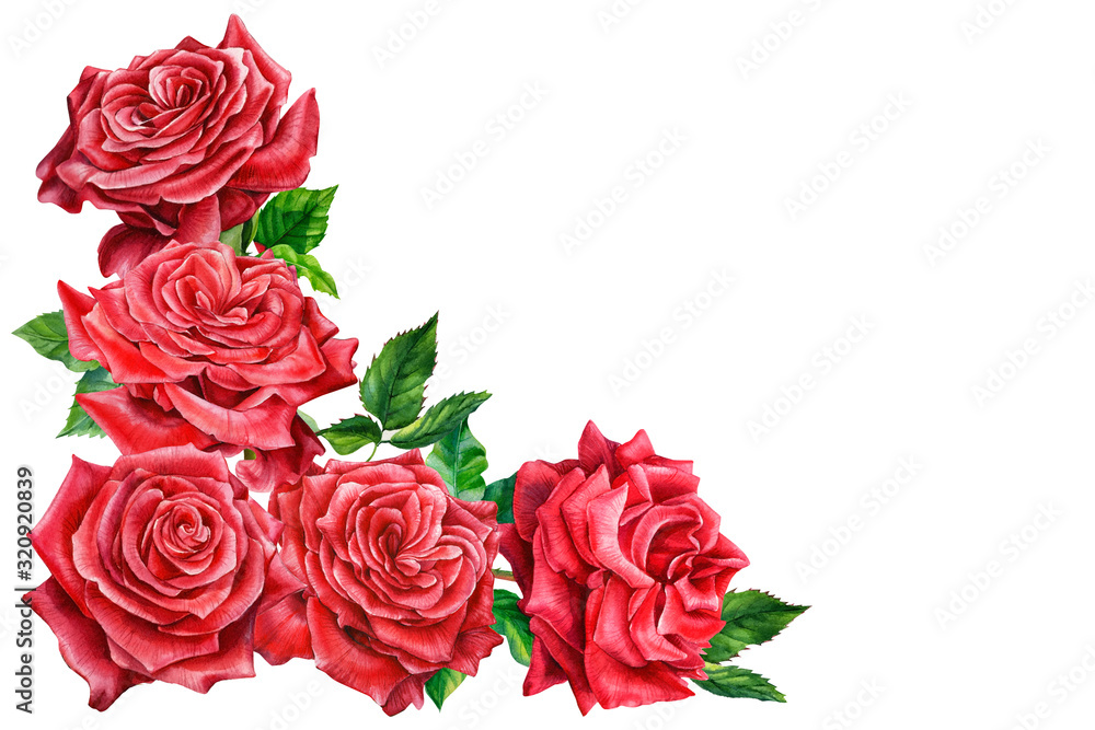 greeting card, Red roses on a white background, valentines day, watercolor clipart, botanical painting greeting card, Red roses on a white background, valentines day, watercolor clipart, botanical painting