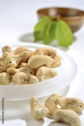 the portrait of cashews