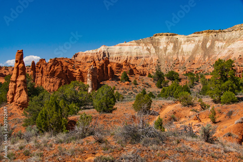 The Mulitude of Spires in Kodachrome Basin