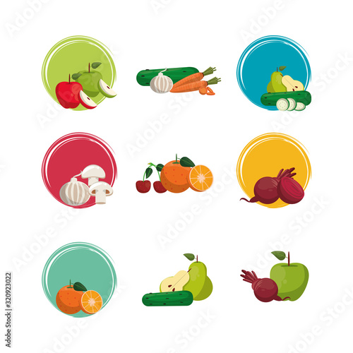 bundle of nutritive healthy food